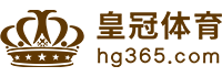 Logo 韦德